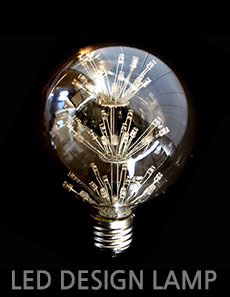 LED 디자인램프 [더빛] 눈꽃 G125 램프차세대 유럽형 인테리어 디자인램프