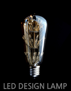LED 디자인램프 [더빛] 눈꽃 ST64 램프차세대 유럽형 인테리어 디자인램프