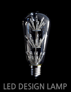 LED 디자인램프 [더빛] 눈꽃 ST64 색변형 램프반짝 반짝 전구가 색을 바꾼다~ 카멜레온 램프