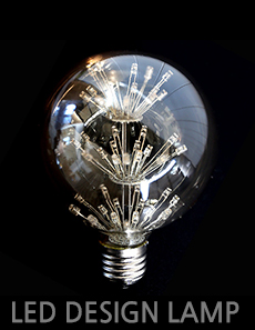LED 디자인램프 [더빛] 눈꽃 G95 램프차세대 유럽형 인테리어 디자인램프
